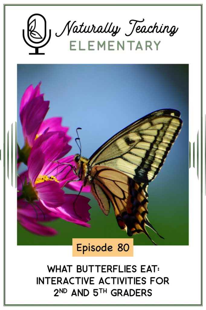 Ep. 80: What Butterflies Eat: Interactive Activities for 2nd and 5th Graders
