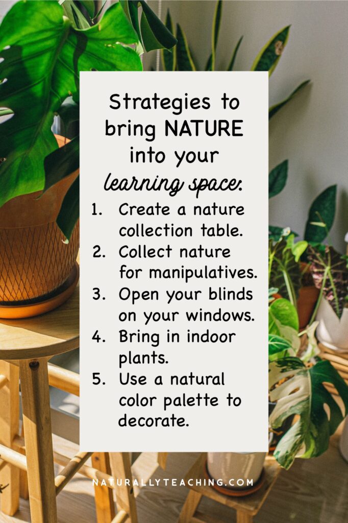 Bringing house plants into your classroom, amongst other strategies, can bridge the gap between outside and inside.