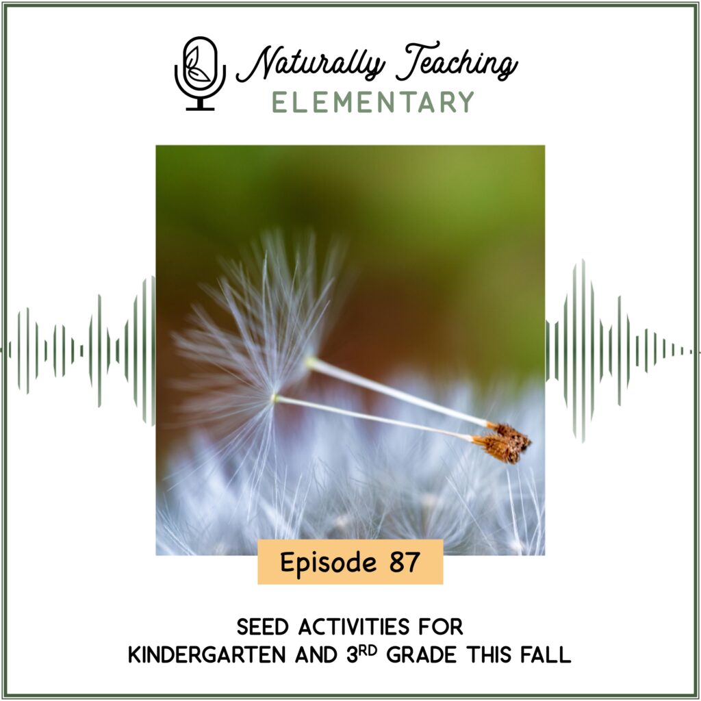 Ep. 87: Seed Activities for Kindergarten and 3rd Grade This Fall