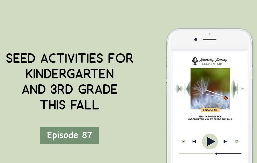 Ep. 87: Seed Activities for Kindergarten and 3rd Grade This Fall