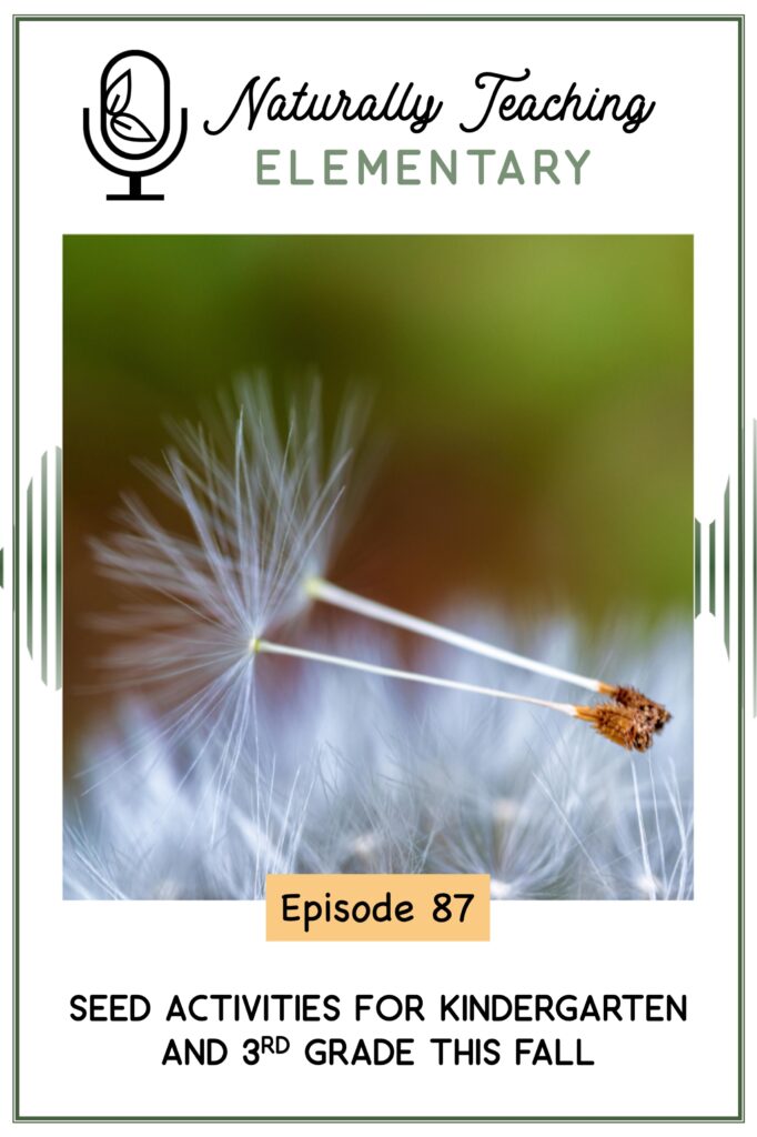 Ep. 87: Seed Activities for Kindergarten and 3rd Grade This Fall