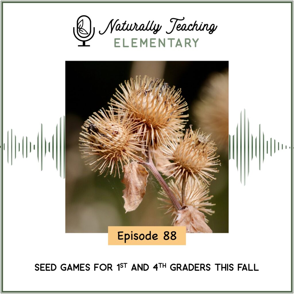 Ep. 88: Seed Games for 1st and 4th Graders This Fall
