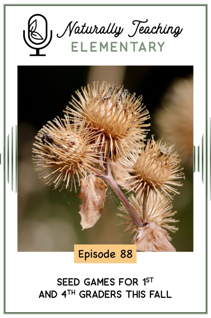 Ep. 88: Seed Games for 1st and 4th Graders This Fall